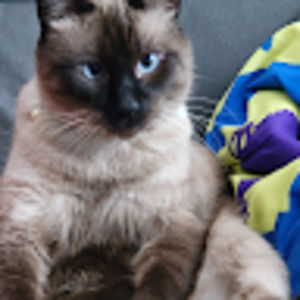 Meet your Posher, Sebastian